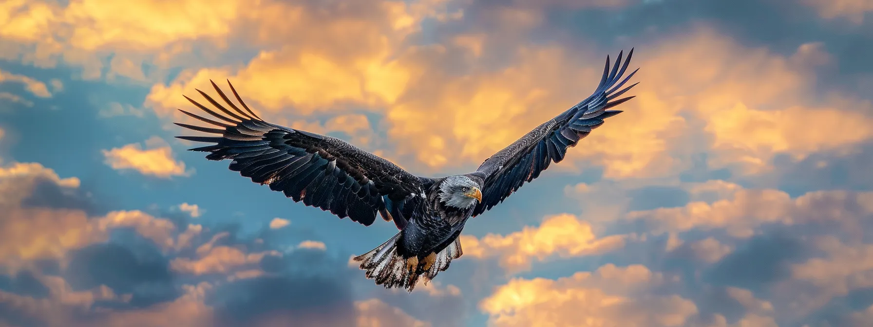 a majestic eagle soaring gracefully through a vibrant, cloud-streaked sky.